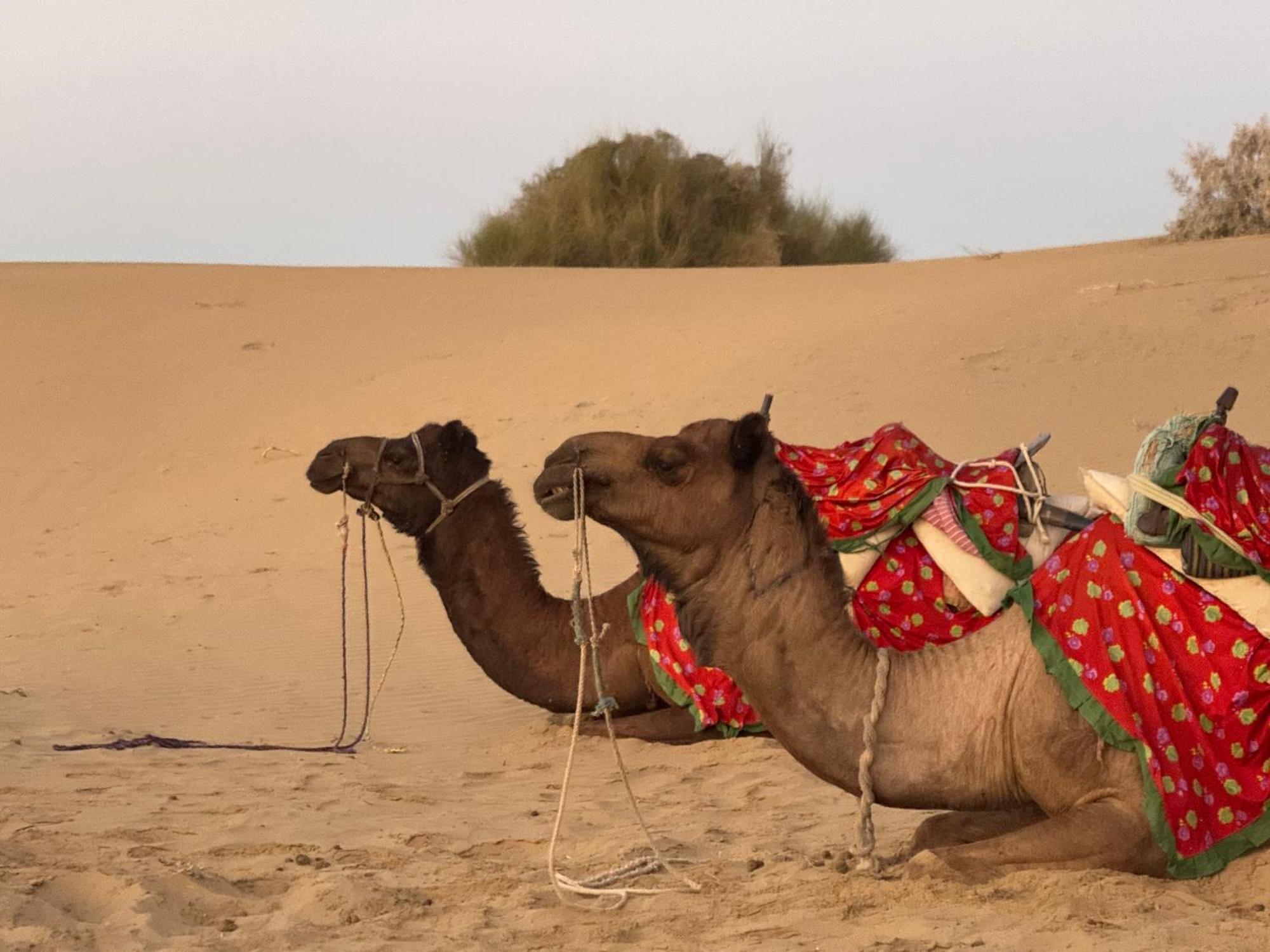 Desert Vista Camp Jaisalmer Εξωτερικό φωτογραφία
